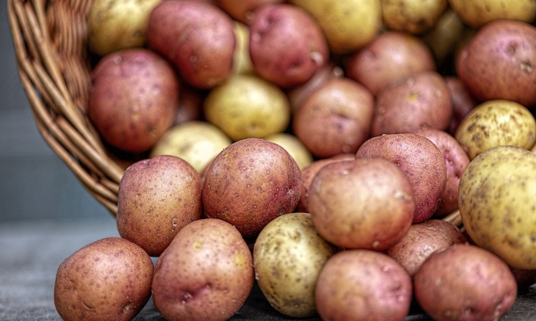 Dlaczego ziemniaki ciemnieją?